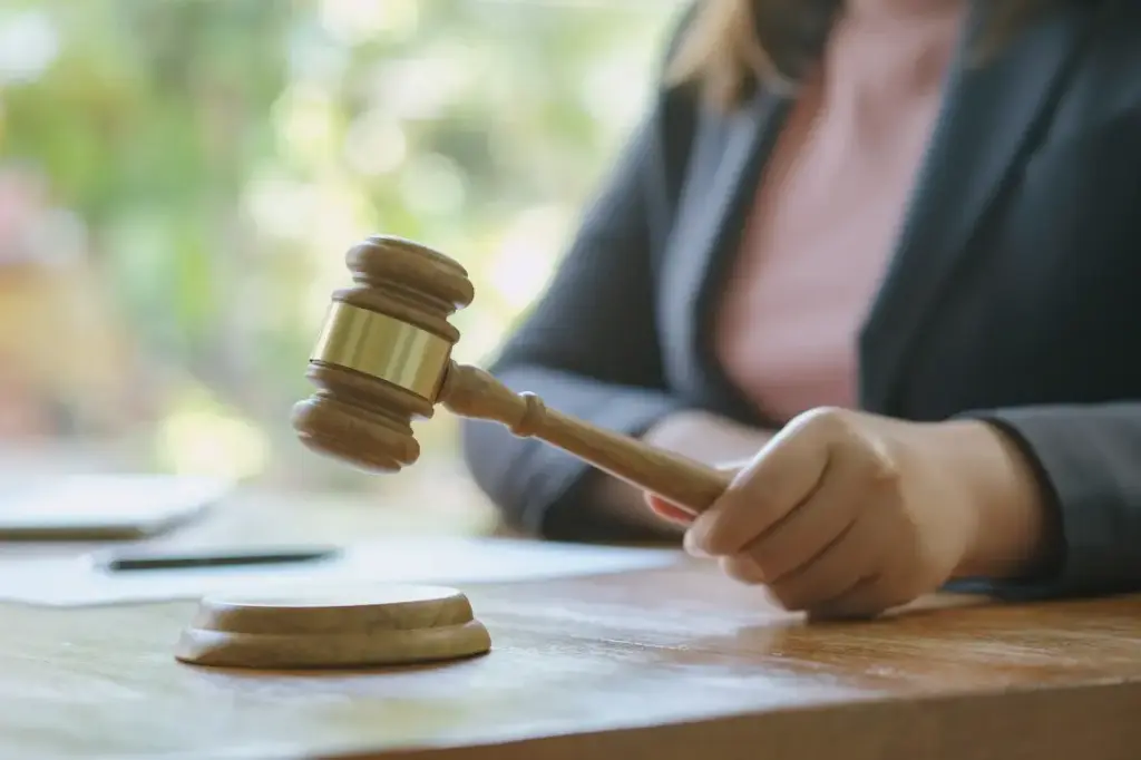 Demanda por deuda SII: qué hacer y cómo defenderte